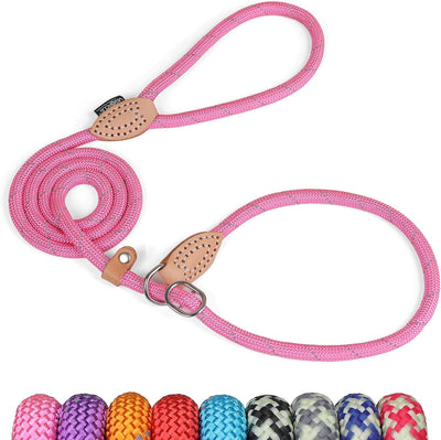 Slip Lead Dog Leash, 5FT Reflective Slip Rope, Puppy Training Walking Controlling Lead, Slip Collar Pet Leash for Small, Medium, Large Dogs (Pink, Medium-2/5In X 5Ft)