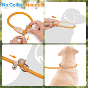 Slip Lead Dog Leash, 5FT Reflective Slip Rope, Puppy Training Walking Controlling Lead, Slip Collar Pet Leash for Small, Medium, Large Dogs (Pink, Medium-2/5In X 5Ft)