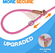 Slip Lead Dog Leash, 5FT Reflective Slip Rope, Puppy Training Walking Controlling Lead, Slip Collar Pet Leash for Small, Medium, Large Dogs (Pink, Medium-2/5In X 5Ft)