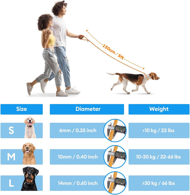 Slip Lead Dog Leash, 5FT Reflective Slip Rope, Puppy Training Walking Controlling Lead, Slip Collar Pet Leash for Small, Medium, Large Dogs (Pink, Medium-2/5In X 5Ft)
