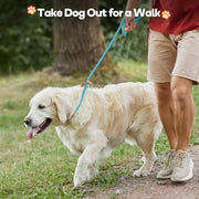 Slip Lead Dog Leash, 5FT Reflective Slip Rope, Puppy Training Walking Controlling Lead, Slip Collar Pet Leash for Small, Medium, Large Dogs (Pink, Medium-2/5In X 5Ft)